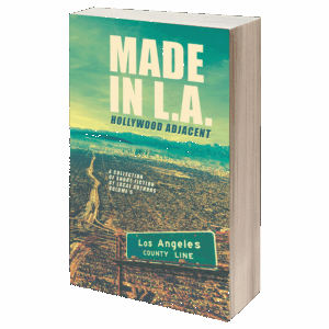 Made in L.A. Vol. 6: Hollywood Adjacent – paperback